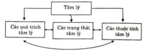 Tv.thapsang.vn-Moi-quan-he-giua-cac-hien-tuong-tam-ly.png