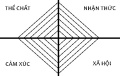 Hình thu nhỏ của phiên bản vào lúc 02:28, ngày 22 tháng 3 năm 2025